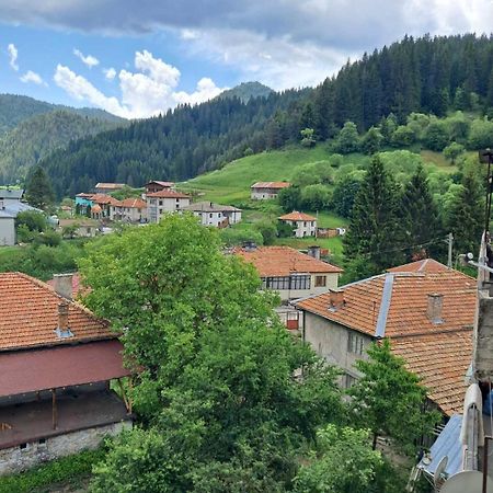 Katerci Daire Trigrad Dış mekan fotoğraf
