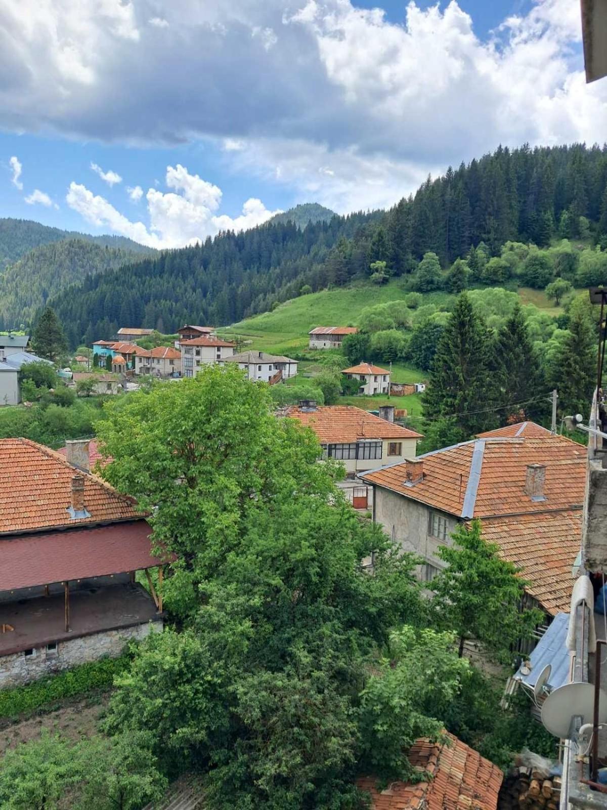 Katerci Daire Trigrad Dış mekan fotoğraf