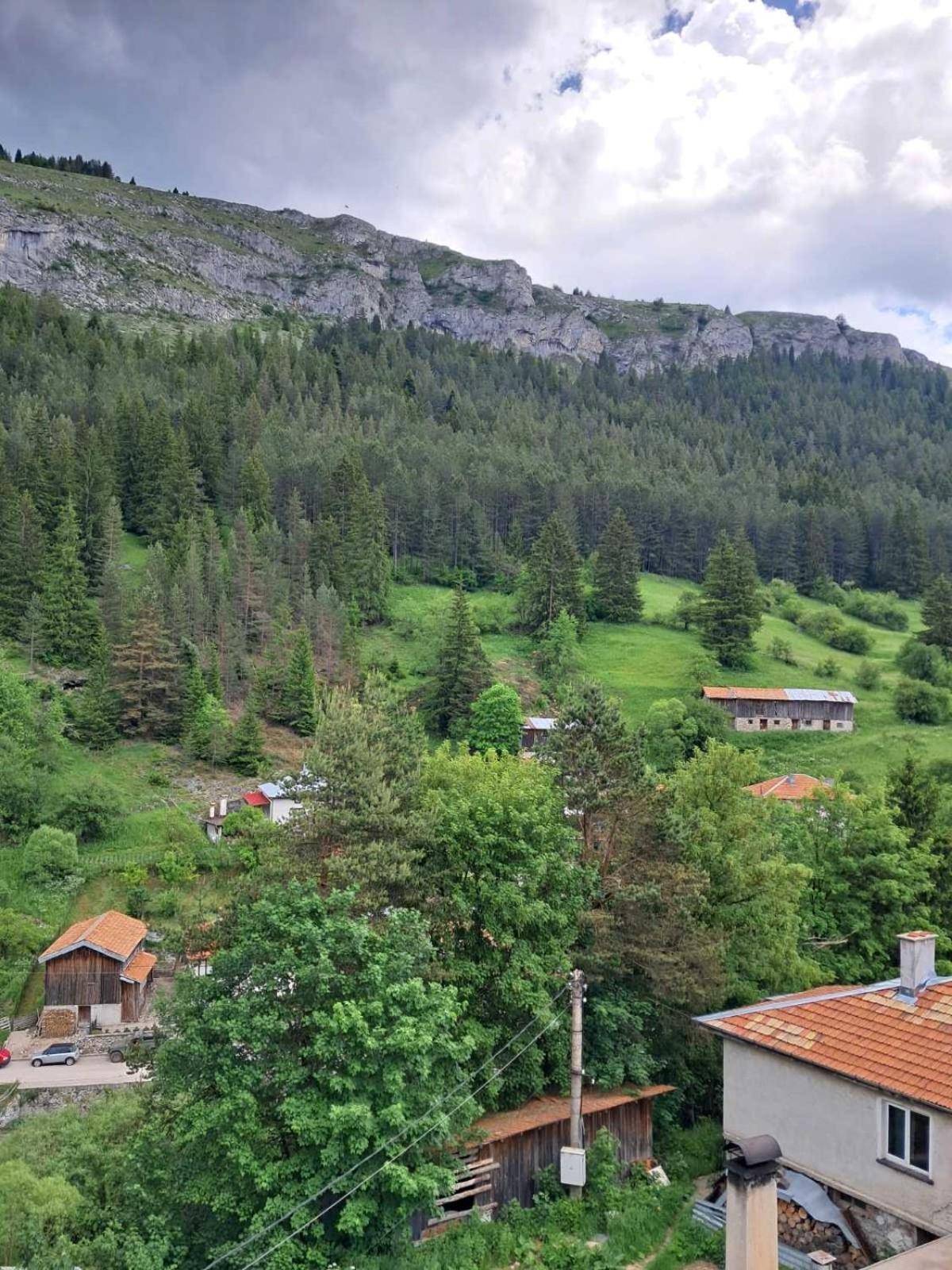 Katerci Daire Trigrad Dış mekan fotoğraf
